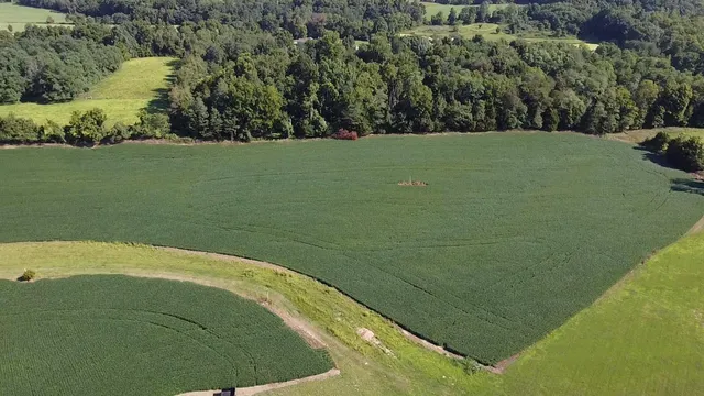 $99,900 | 0 Alexandra Drive, Vevay, IN 47043