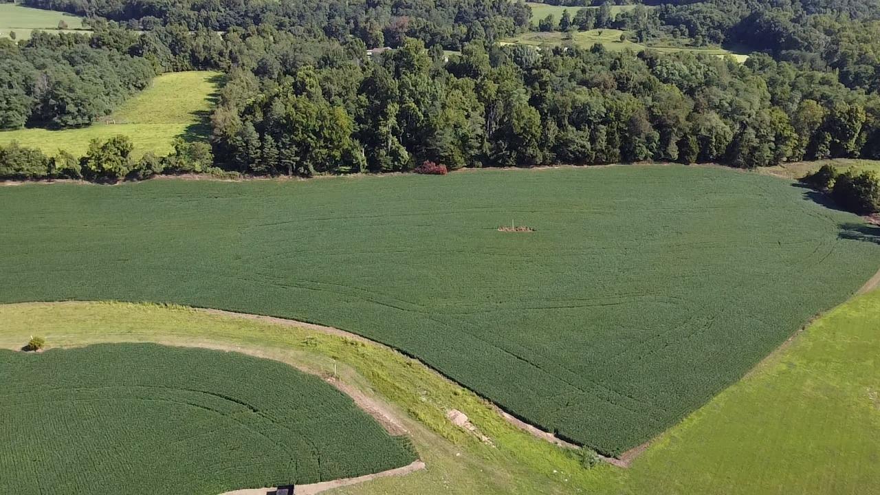 0 Alexandra Drive Vevay, IN 47043 - Photo 7 of 9