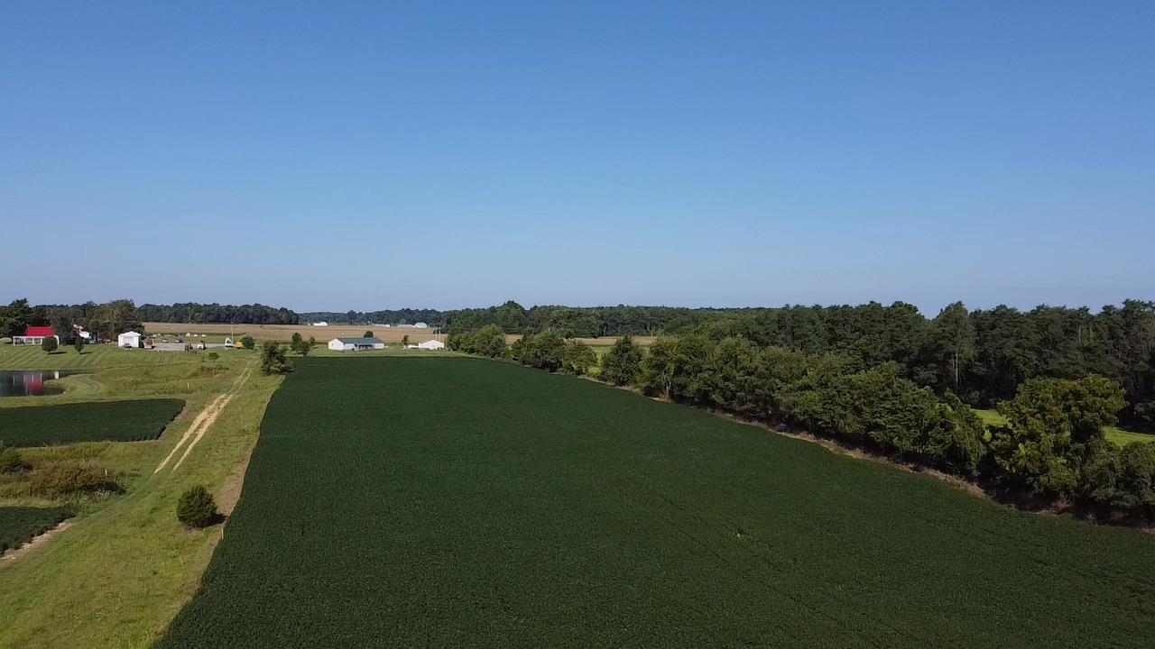 0 Alexandra Drive Vevay, IN 47043 - Photo 8 of 9