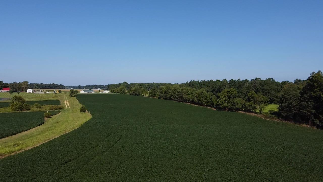 0 Alexandra Drive Vevay, IN 47043 - Photo 9 of 9