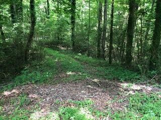 9702 Old Moore Road Collegedale, TN 37363 - Photo 1 of 1 Gallery Image 1
