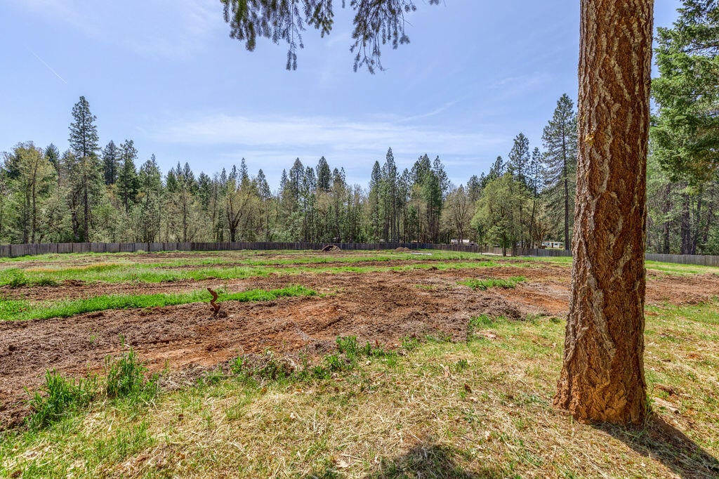 2036 Pleasant Creek Road Rogue River, OR 97537 - Photo 7 of 39 Beautiful Setting & Lots of Space!