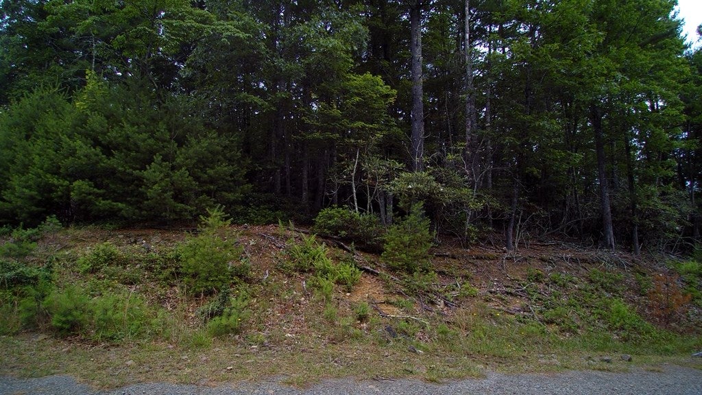 21-22 Ridge Line Trail, Unit 21 & 22 Independence, VA 24348 - Photo 6 of 8 Gallery Image 6