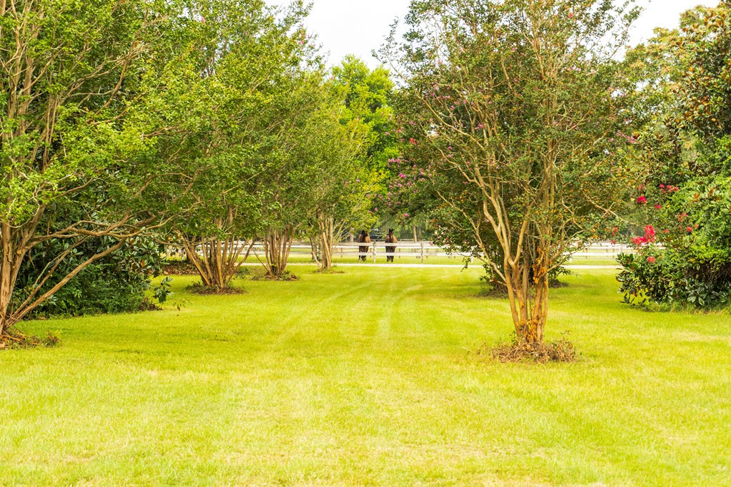 680 New Bridge Road Aiken, SC 29805 - Photo 4 of 28 Gallery Image 4