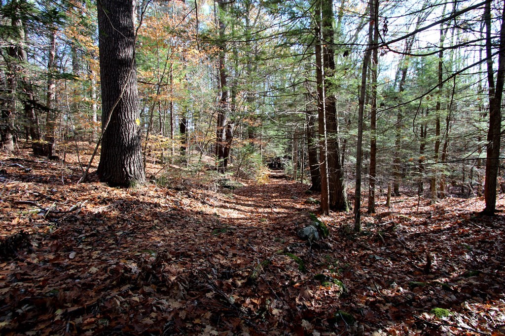 0 Lockes Village Road Wendell, MA 01379 - Photo 14 of 14 Gallery Image 14