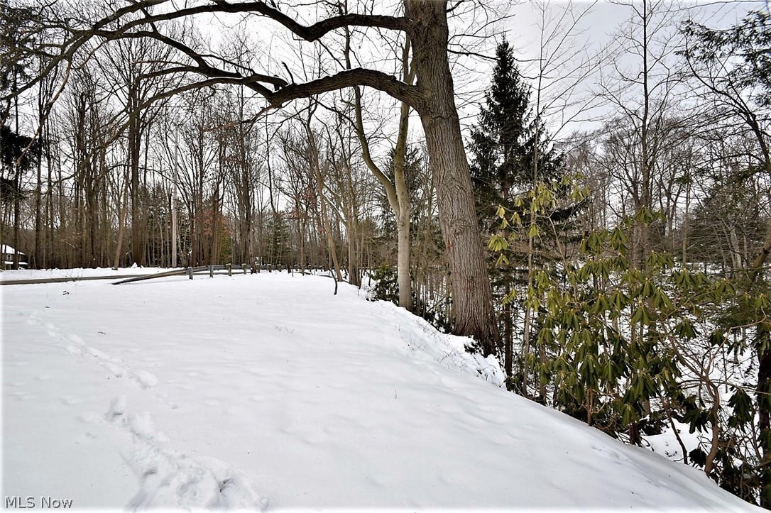 37125 Jackson Road Chagrin Falls, OH 44022 - Photo 28 of 29 View to west from side yard