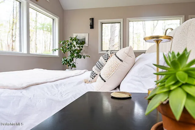 a close view of sink with a potted plant