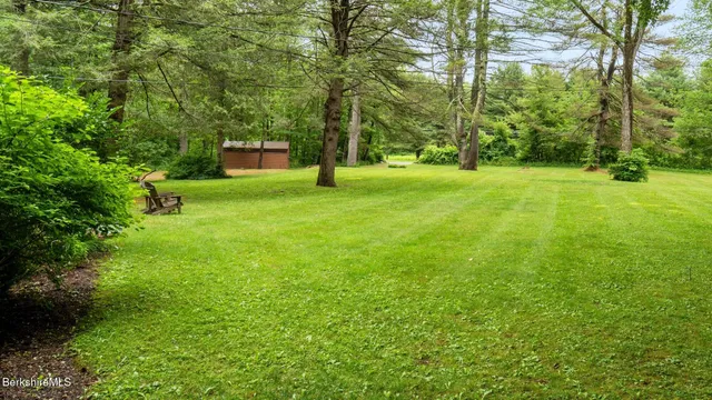 a backyard of a house with plants and large trees