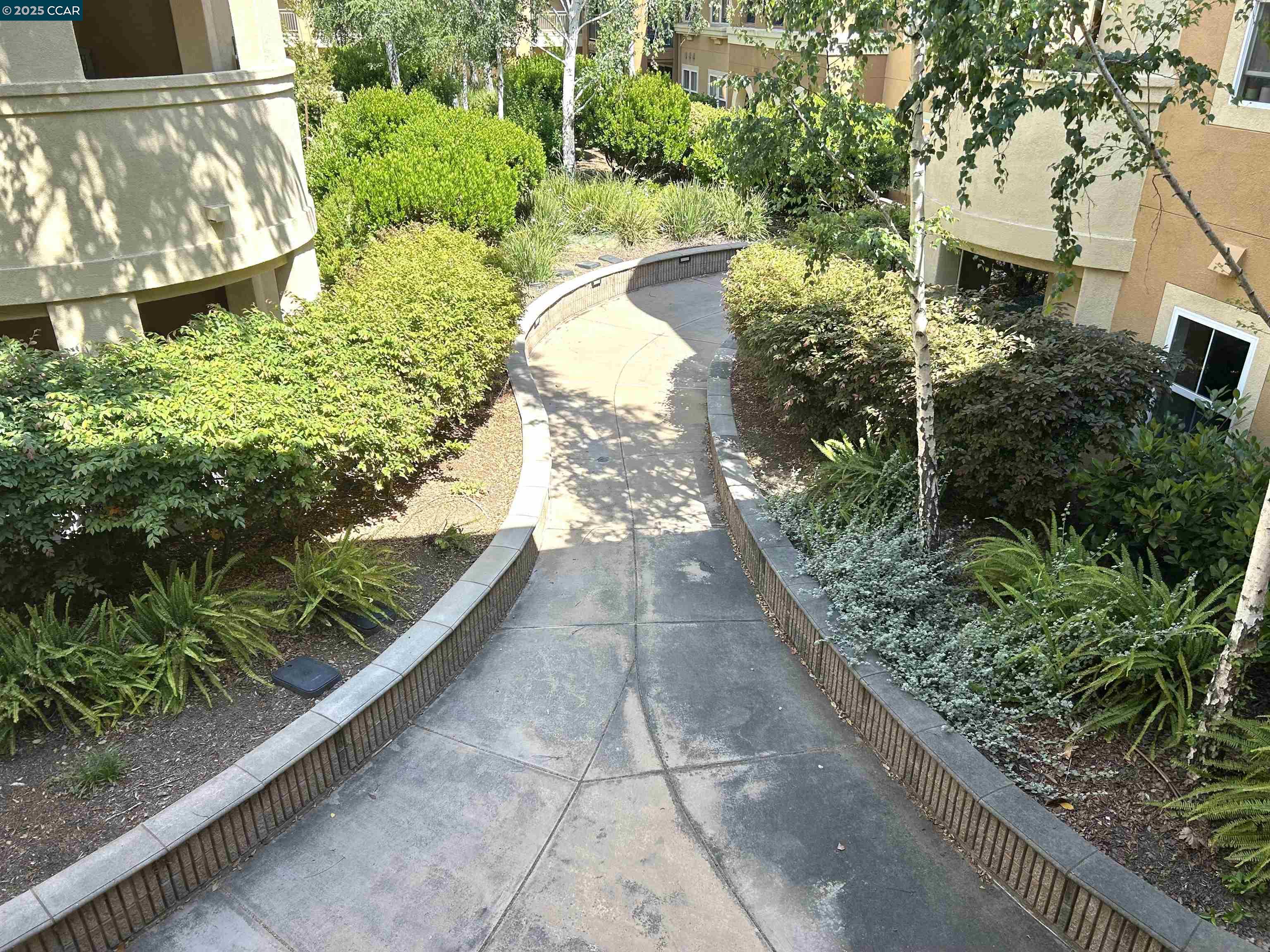 1310 Saddle Rack Street, Unit 352 San Jose, CA 95126 - Photo 39 of 41 a view of a garden with pathway
