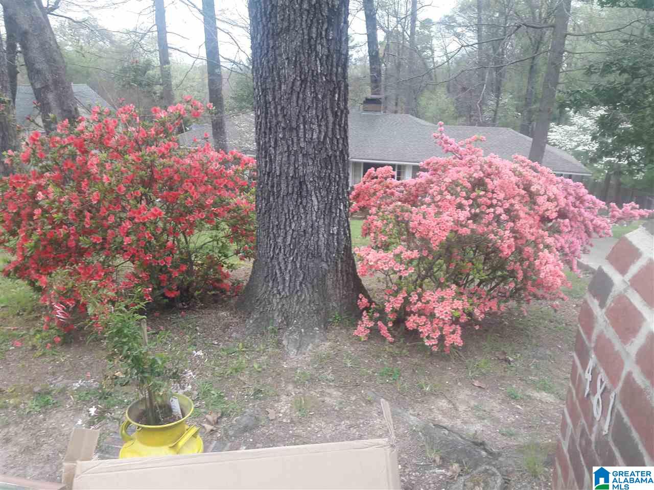 481 Ridge Road Birmingham, AL 35206 - Photo 36 of 40