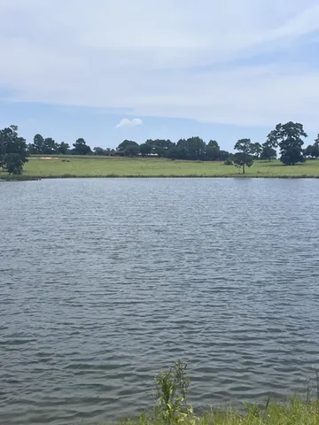 a view of a lake with houses in background