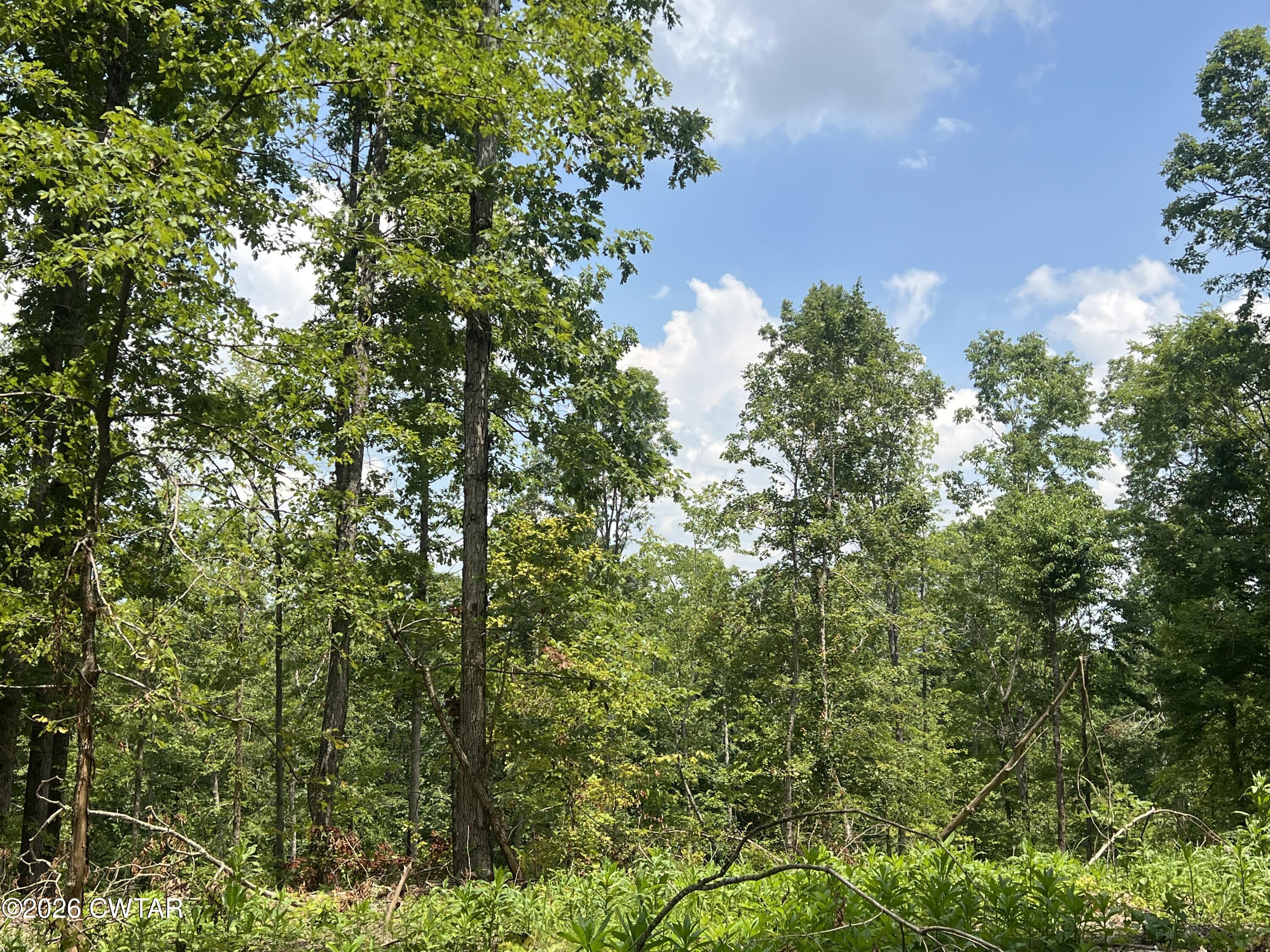 4600 Silerton Road Henderson, TN 38340 - Photo 14 of 16 IMG_6470