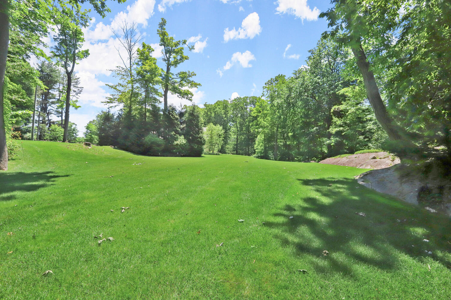 538 Laurel Road New Canaan, CT 06840 - Photo 18 of 28 a view of green field with a tree