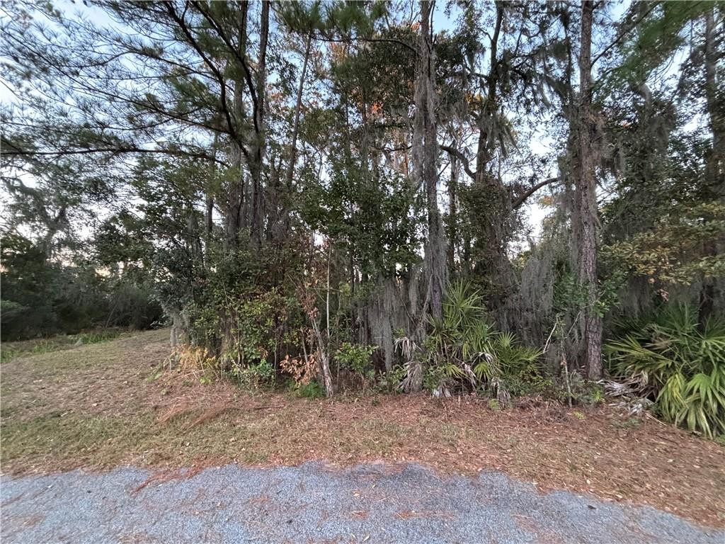 147 Picket Run Brunswick, GA 31520 - Photo 1 of 2 Photo 1