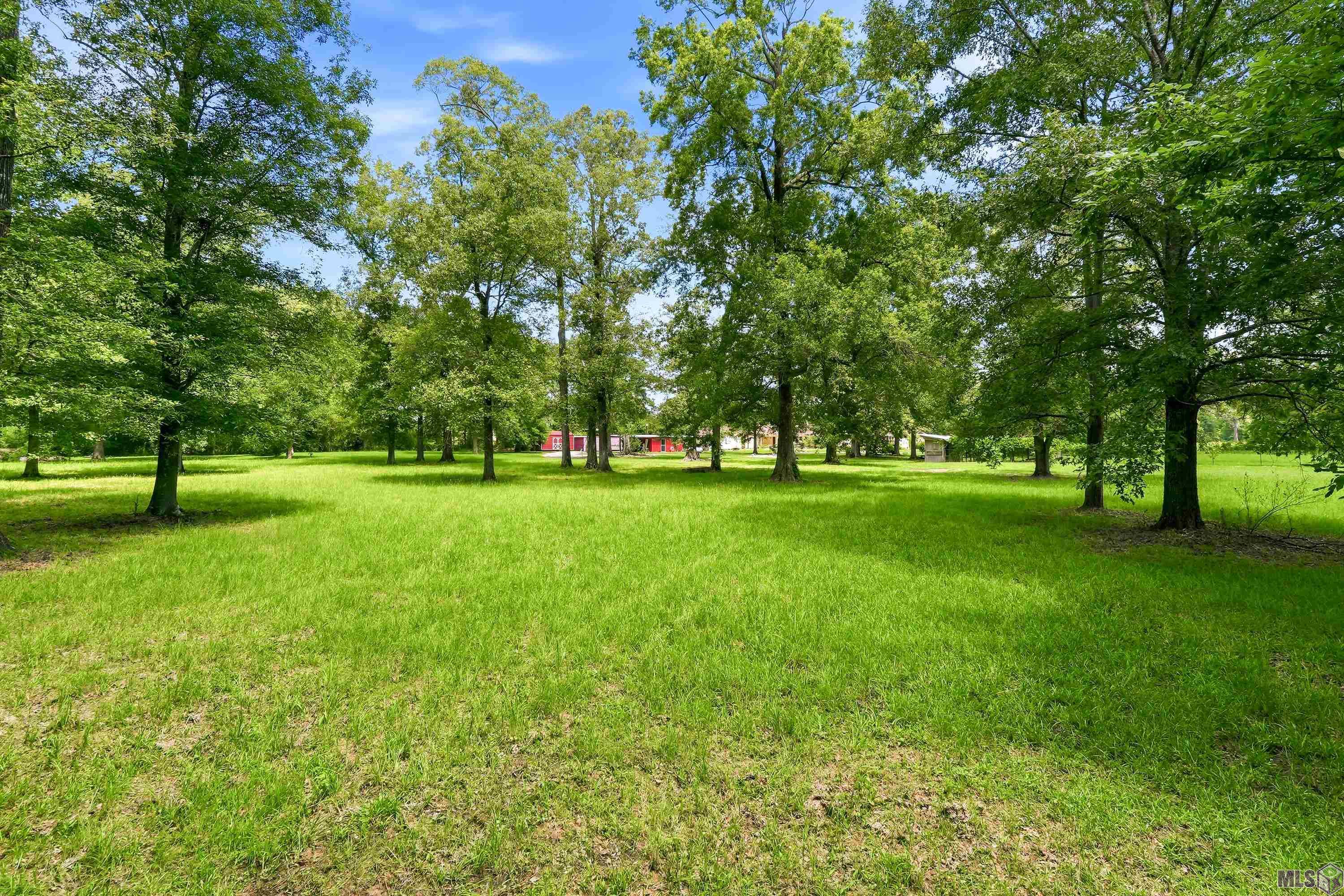 3374 Greenbriar Road Ethel, LA 70730 - Photo 42 of 43
