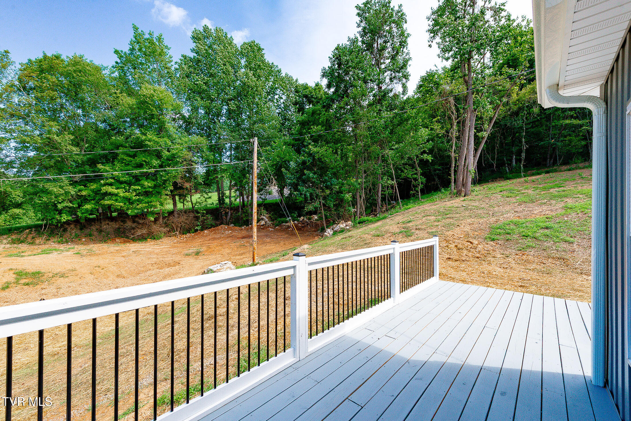 210 Wadlow Gap Road Kingsport, TN 37660 - Photo 33 of 39 rear decking