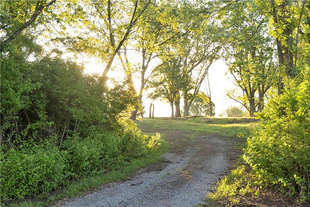 Murray Rd Road Polo, MO 64671 - Photo 8 of 53
