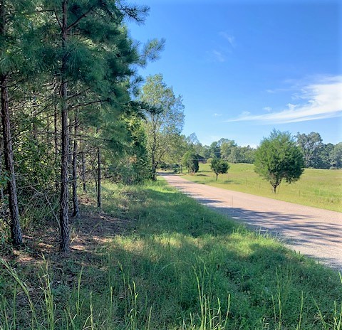 0 Poplar Springs Bargerton Road Lexington, TN 38351 - Photo 1 of 8 Gallery Image 1