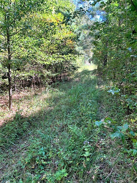 0 Poplar Springs Bargerton Road Lexington, TN 38351 - Photo 2 of 8 Gallery Image 2