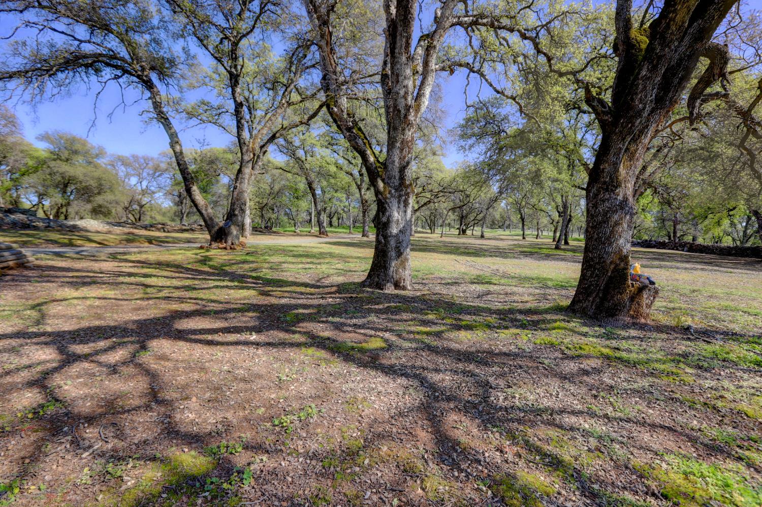 19890 Perimeter Road Grass Valley, CA 95949 - Photo 84 of 95