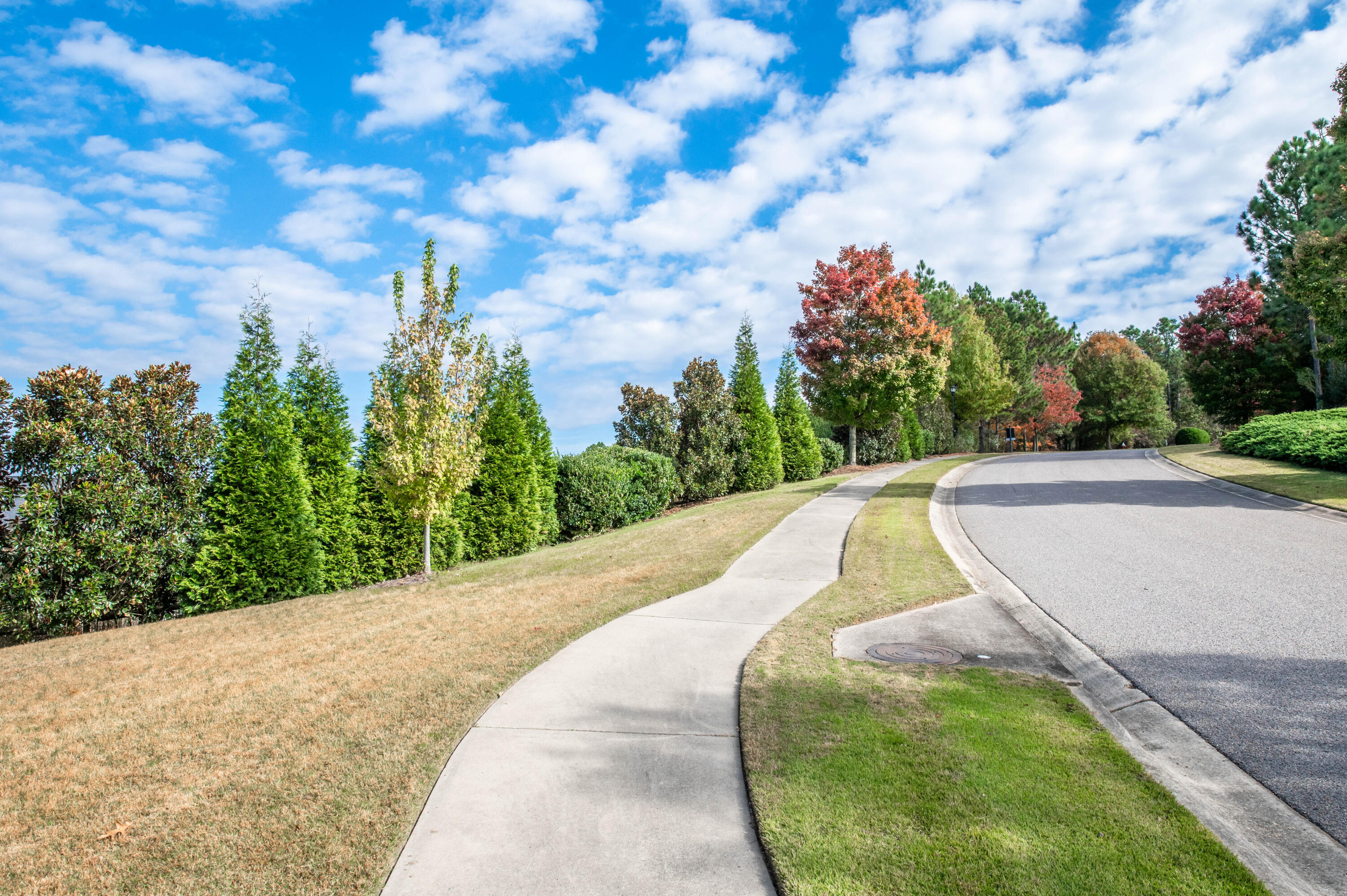 424 Little Pines Court Aiken, SC 29801 - Photo 30 of 34 Neighborhood Walk Path!