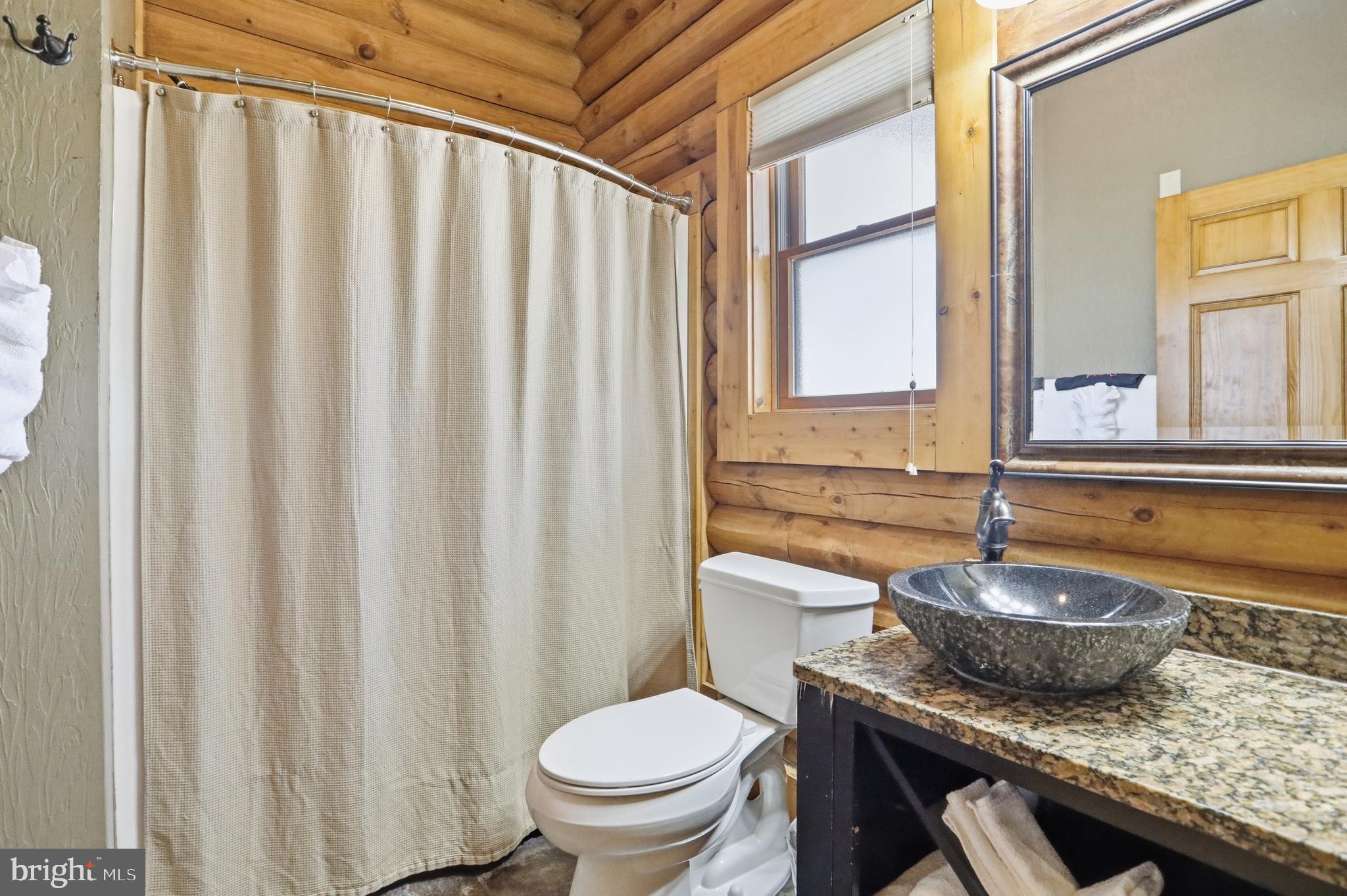 305 Cabin Lodge Road McHenry, MD 21541 - Photo 10 of 13