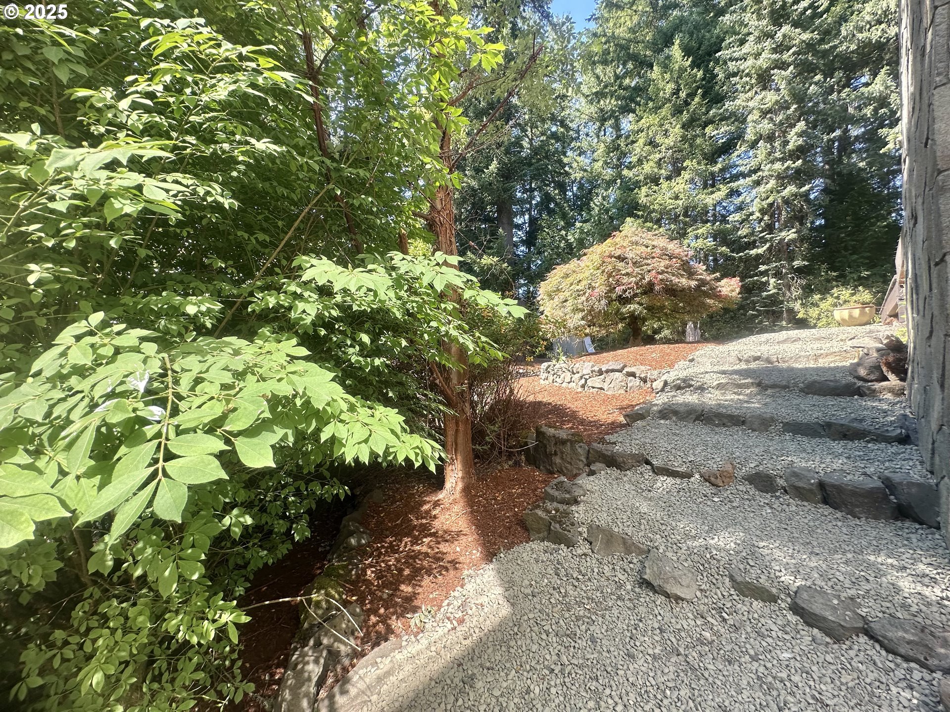 20698 South Mattoon Road Estacada, OR 97023 - Photo 33 of 41 a view of a yard with plants and large trees