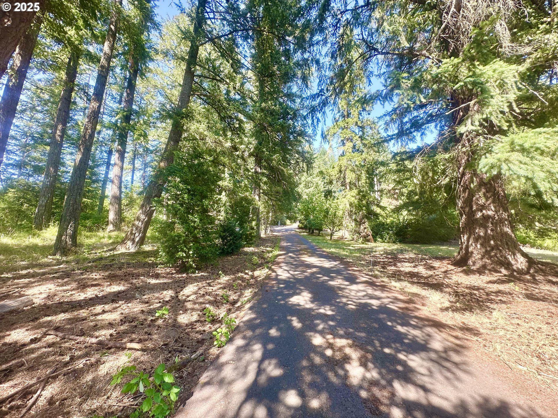20698 South Mattoon Road Estacada, OR 97023 - Photo 39 of 41 a backyard of a house with lots of green space