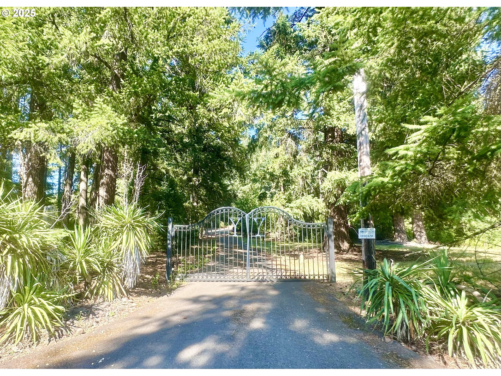 20698 South Mattoon Road Estacada, OR 97023 - Photo 40 of 41 a view of a yard with plants and trees