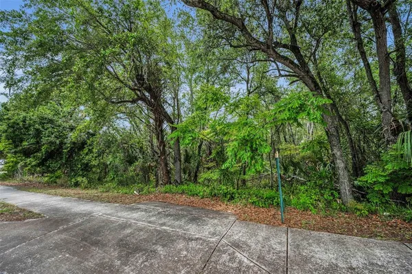 a view of a yard with plants and trees