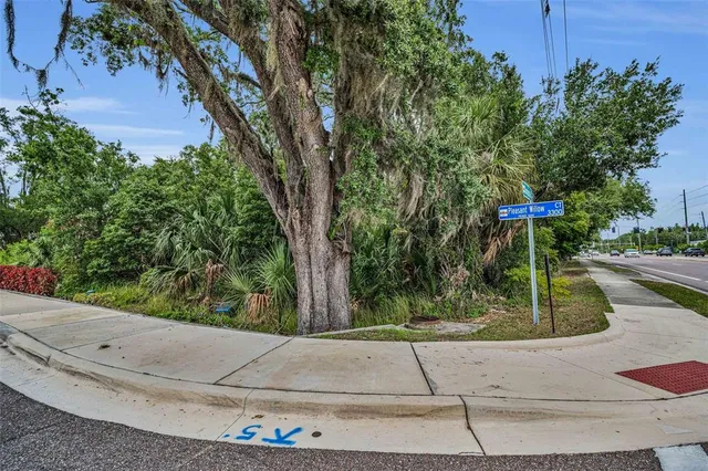 a view of a park with plants