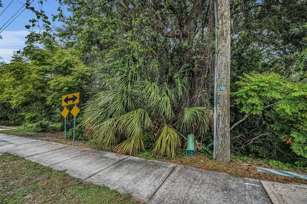 a view of a road with plants and large trees