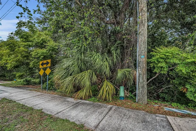 a view of a road with plants and large trees