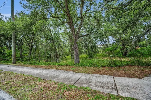 a view of a yard with plants and large trees