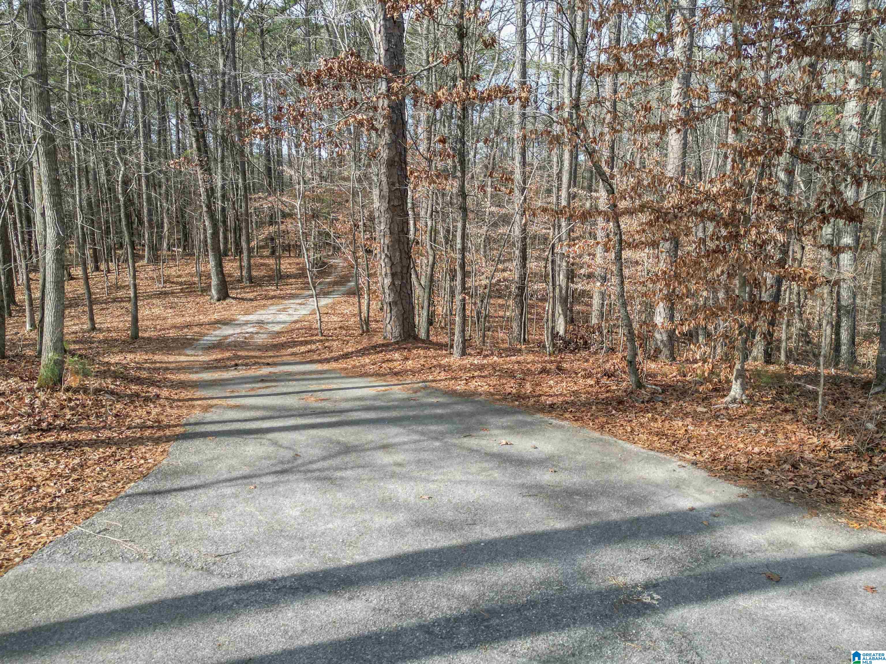 1101 Dunnavant Valley Road, Unit 2 Birmingham, AL 35242 - Photo 7 of 8