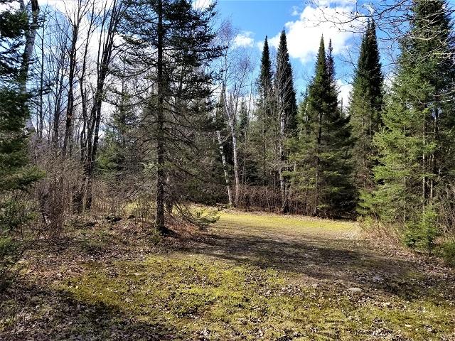 Lot 2 Payment Lake Road Mercer, WI 54547 - Photo 25 of 26 Gallery Image 25