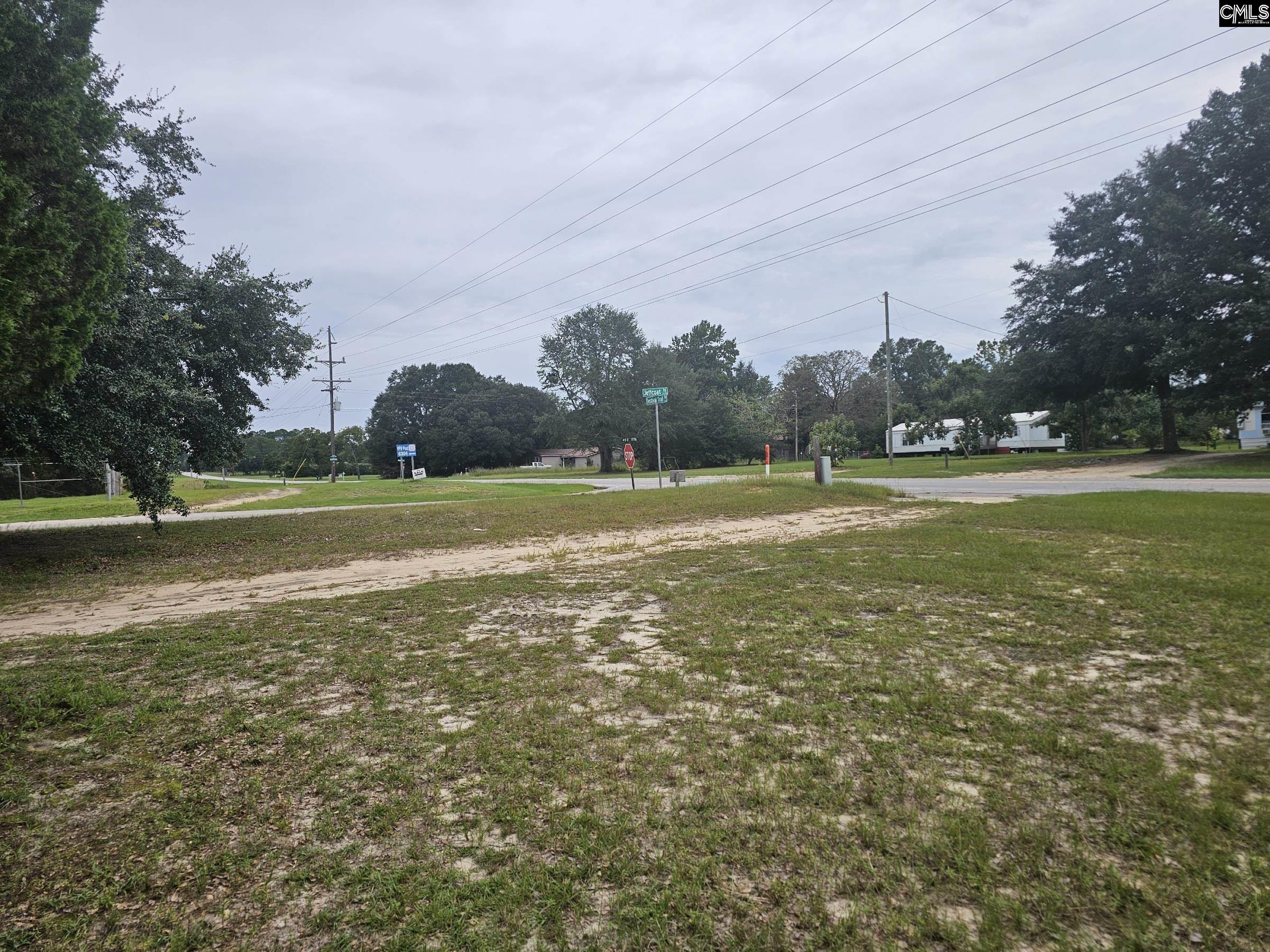4412 Festival Trail Road Wagener, SC 29164 - Photo 7 of 20