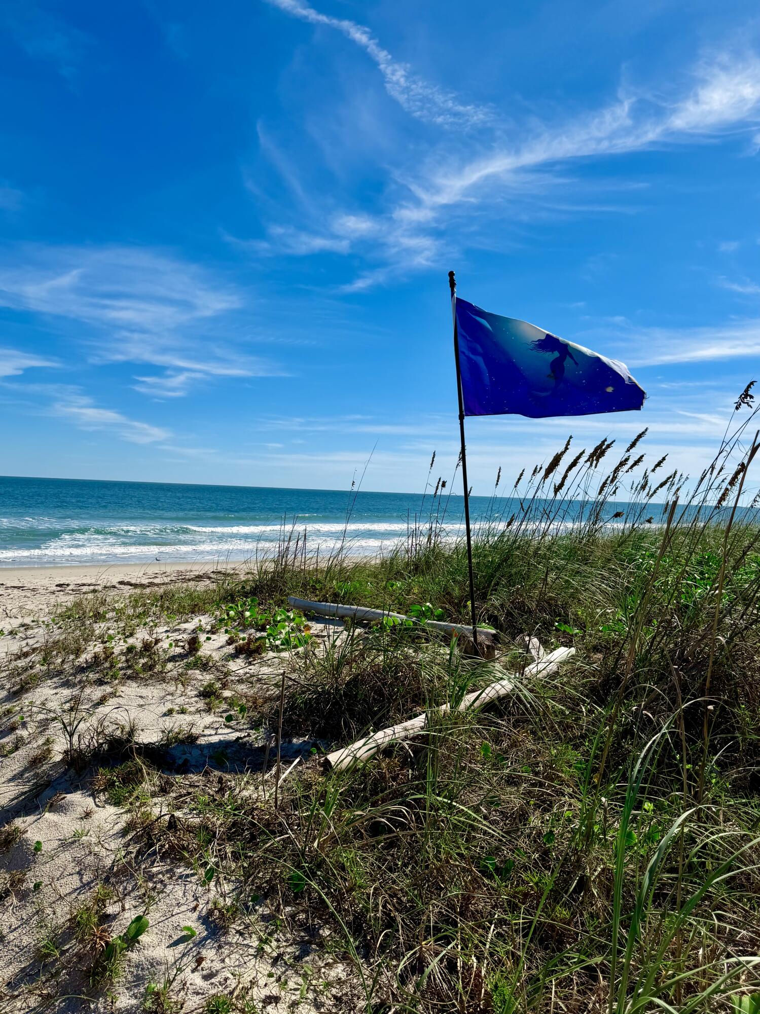 2700 North Hwy A1A, Unit 506 Fort Pierce, FL 34949 - Photo 4 of 28 a view of a yard with an ocean view