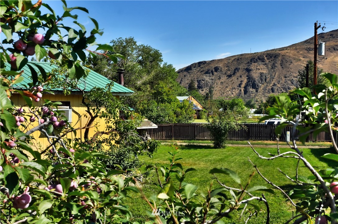 628 Twisp Carlton Road Twisp, WA 98856 - Photo 32 of 32 a view of a garden