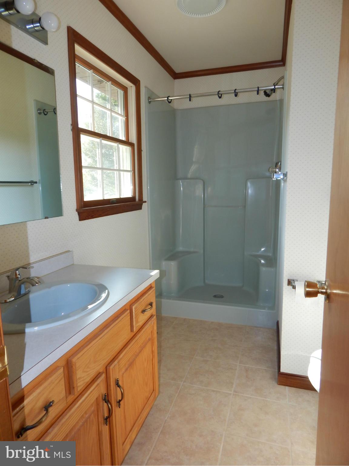 34477 Branch School Road Laurel, DE 19956 - Photo 14 of 19 Bath