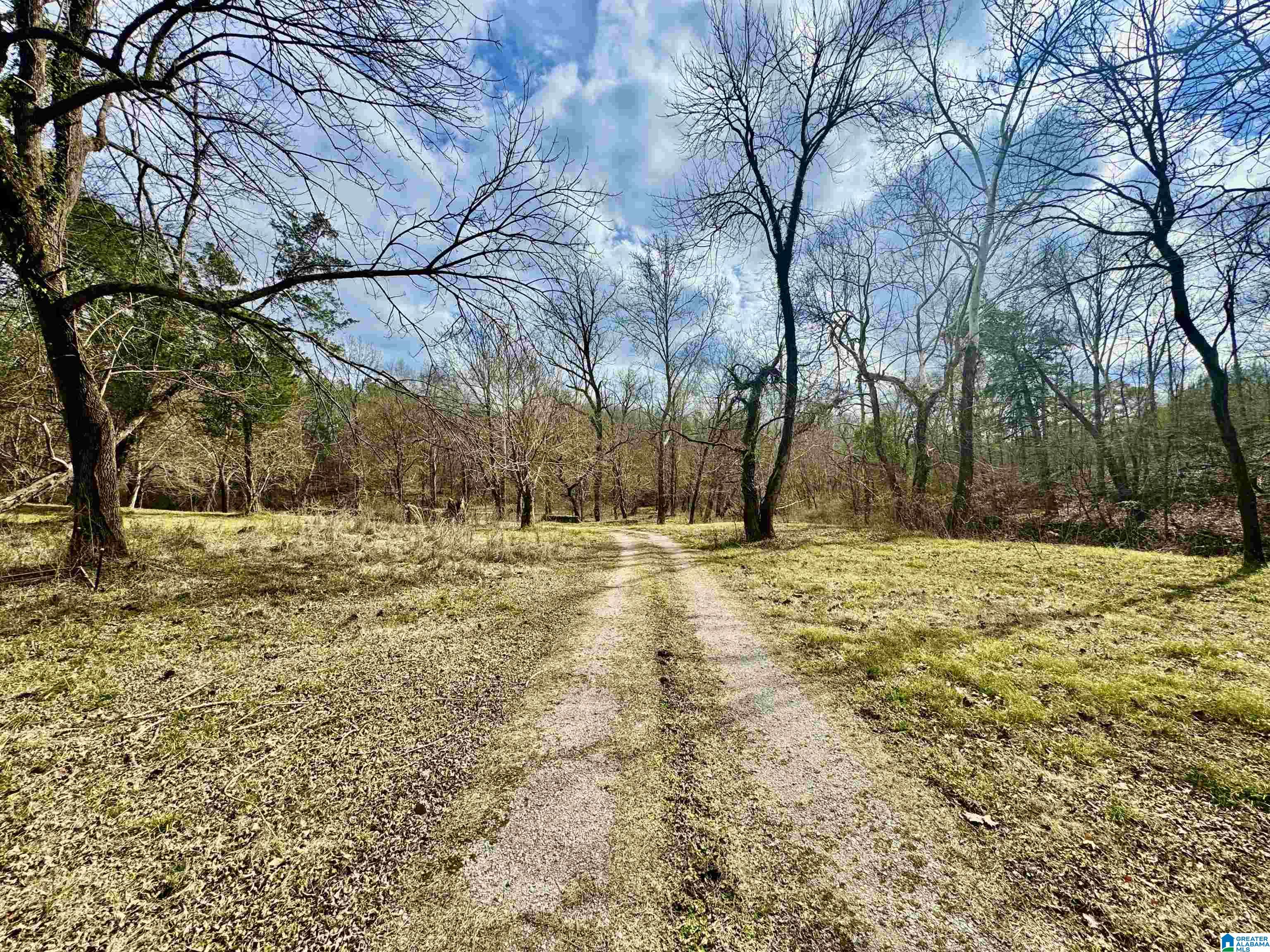 576 Gunlock Street Montevallo, AL 35115 - Photo 47 of 76