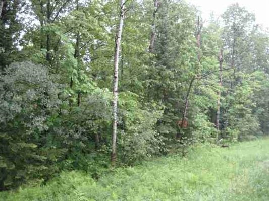 10-acres Molebrook Road Ringle, WI 54471 - Photo 1 of 1