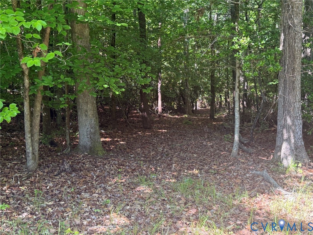 Tbd Cooks Mill Road Lanexa, VA 23089 - Photo 13 of 26
