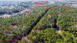 0 Long Cane Ame Road Abbeville, SC 29620 - Photo 1 of 9 Expansive acreage provides ample space for custom development and outdoor enjoyment.