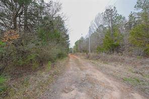 0 Long Cane Ame Road Abbeville, SC 29620 - Photo 2 of 9 This expansive lot features a private drive, offering secluded access amidst natural surroundings.