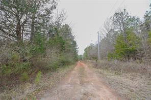 0 Long Cane Ame Road Abbeville, SC 29620 - Photo 3 of 9 This expansive lot features a rustic dirt path winding through dense natural surroundings.