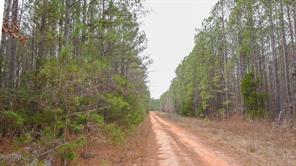 0 Long Cane Ame Road Abbeville, SC 29620 - Photo 5 of 9 This expansive lot features a private dirt road surrounded by lush woodlands.