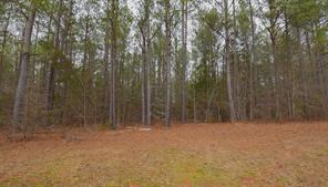 0 Long Cane Ame Road Abbeville, SC 29620 - Photo 7 of 9 This tranquil wooded lot offers a peaceful retreat for your future home.