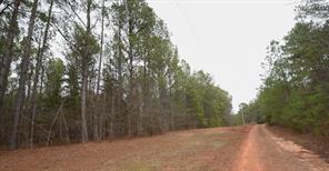 0 Long Cane Ame Road Abbeville, SC 29620 - Photo 8 of 9 This serene lot offers ample space for building your dream home amidst nature's tranquility.