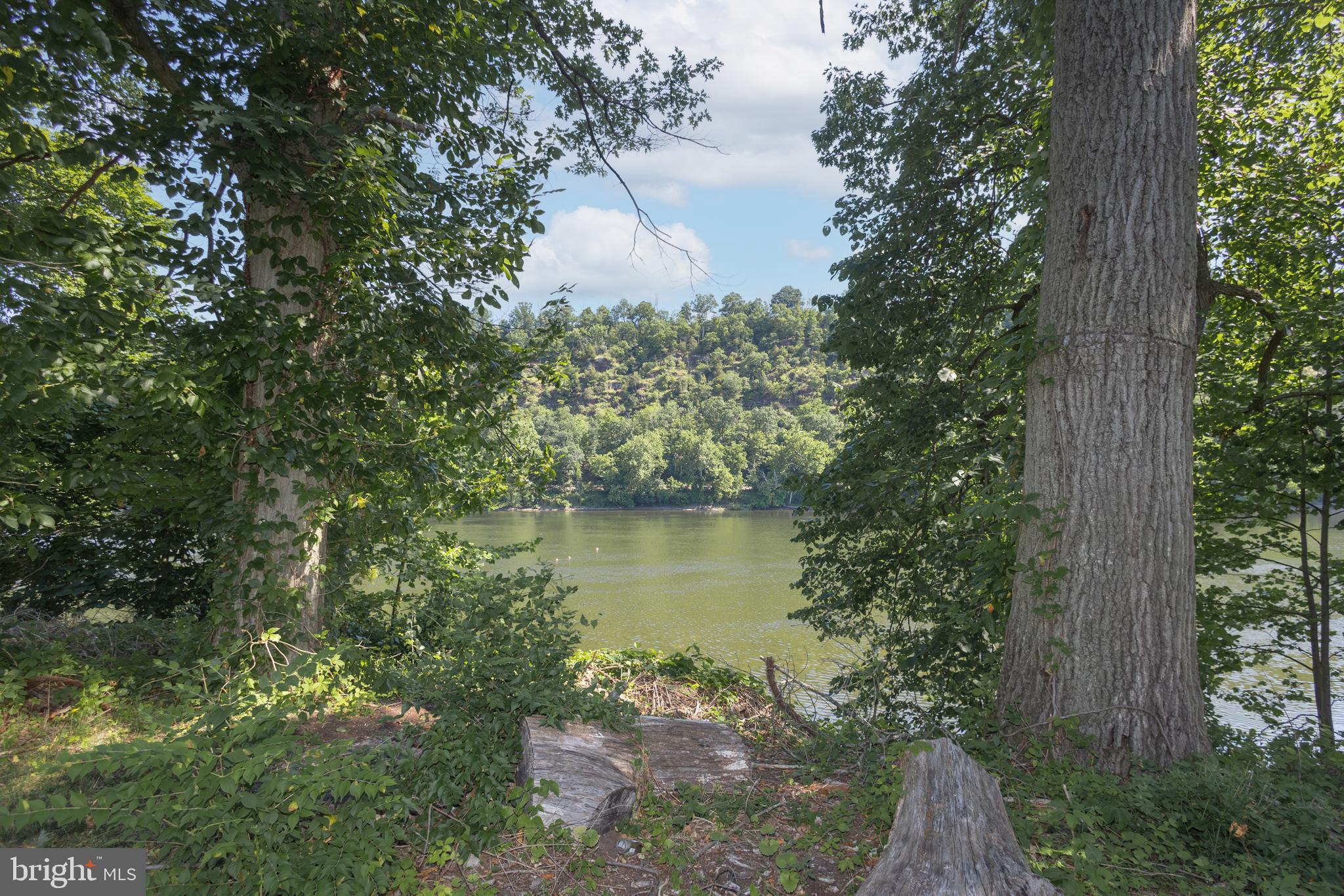 1764 River Road Upper Black Eddy, PA 18972 - Photo 2 of 37 a view of a lake with a tree